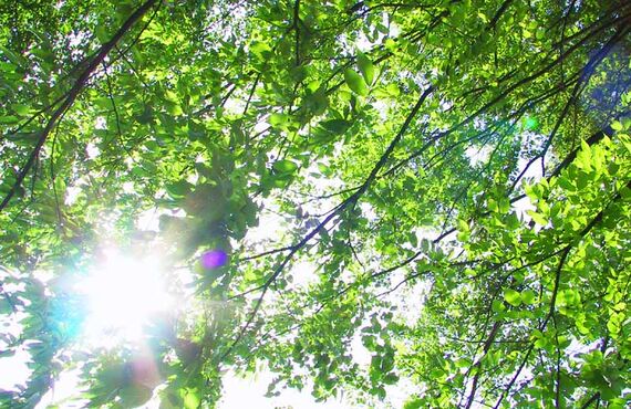 横浜でプレゼントを買うなら☆オーダーメイドフォトフレーム【ジュエリーフォトフレーム】オーダー承ります